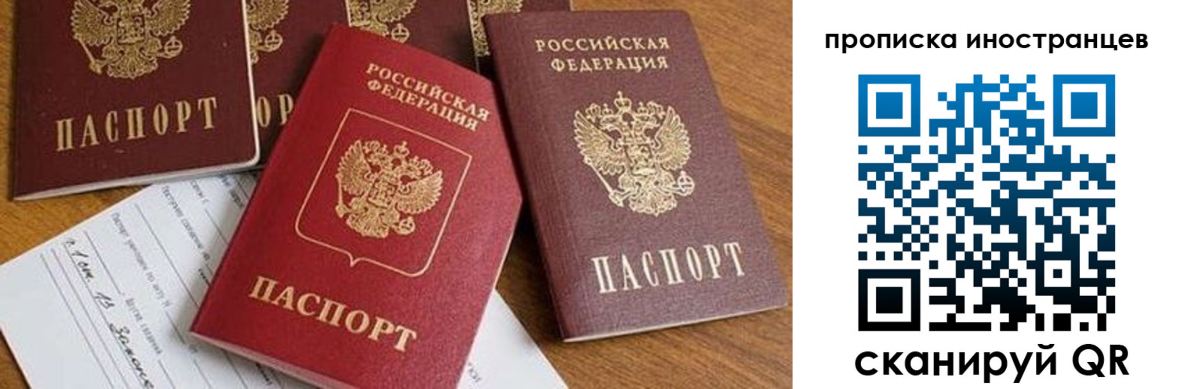 прописка в Волосово